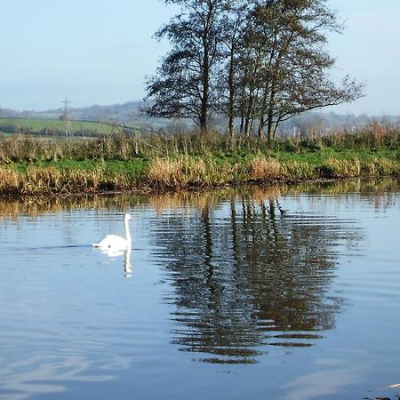 The Bower Inn ブリッジウォーター エクステリア 写真 Swans on the River Wye
